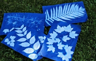 sun-print-paper-nature-art-with-kids-36